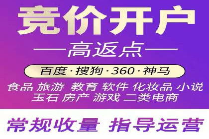某知名企业SEM外包项目的成功经验分享
